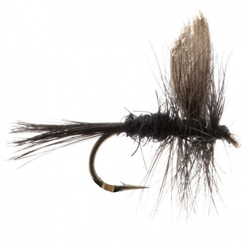 The Essential Fly Black Gnat Winged With Tail Fishing Fly